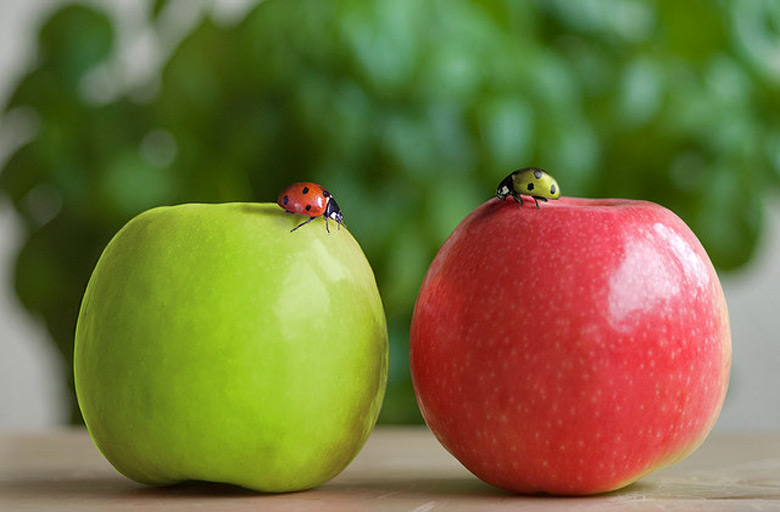 perbedaan apel merah dan apel hijau, apel merah dan apel hijau, apel merah vs apel hijau, bedanya apel merah dan apel hijau, beda apel merah dan hijau