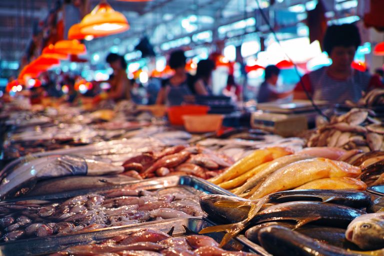 pasar ikan terdekat, pasar ikan hias terdekat, pasar ikan laut terdekat, pasar seafood terdekat, pasar ikan segar terdekat
