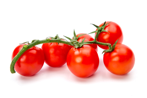 jenis tomat ceri