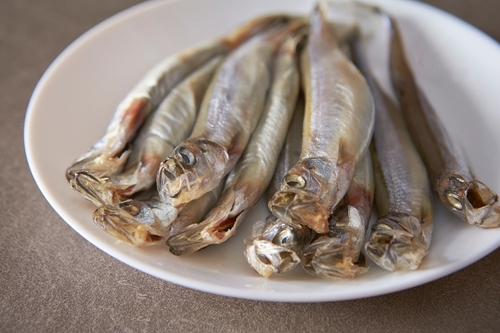 Ikan shisamo, shisamo ikan apa, ikan shisamo adalah, jual ikan shisamo, manfaat ikan shisamo, ikan shisamo dimasak apa, kandungan gizi ikan shisamo