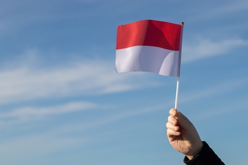 harapan titipku untuk indonesia