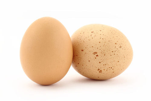 Memilih telur ayam, tips memilih telur ayam, cara memilih telur ayam, memilih telur yang berkualitas