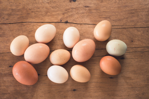 tips memilih telur, panduan memilih telur, cara memilih telur, tips memilih telur yang bagus, cara memilih telur yang bagus, memilih telur yang tidak busuk, memilih telur yang layak konsumsi, tips memilih telur yang tidak busuk, jual telur terdekat, pasar yang menjual telur terdekat, titipku